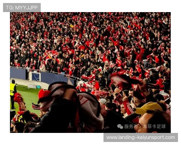 本菲卡携手欧洲合作伙伴，共筑全球商业新格局